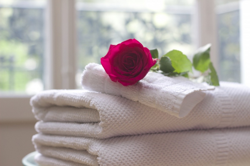 hotel-AURIBEAU SUR SIAGNE-min_towel_rose_clean_care_salon_spa_white_bath-731641